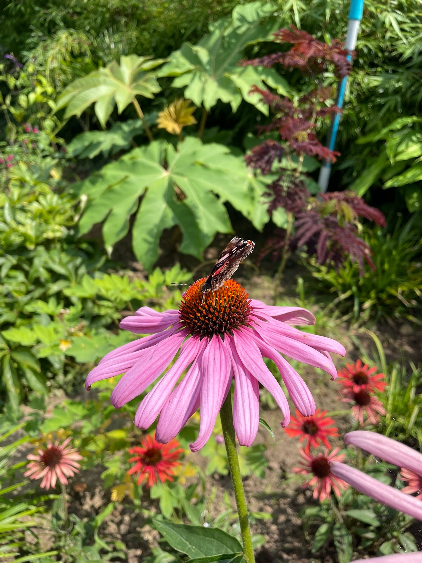 De natuur als inspiratiebron van Mayteo